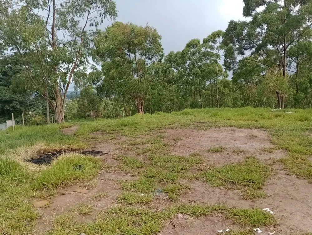 Terreno, 4500 m² - Foto 4