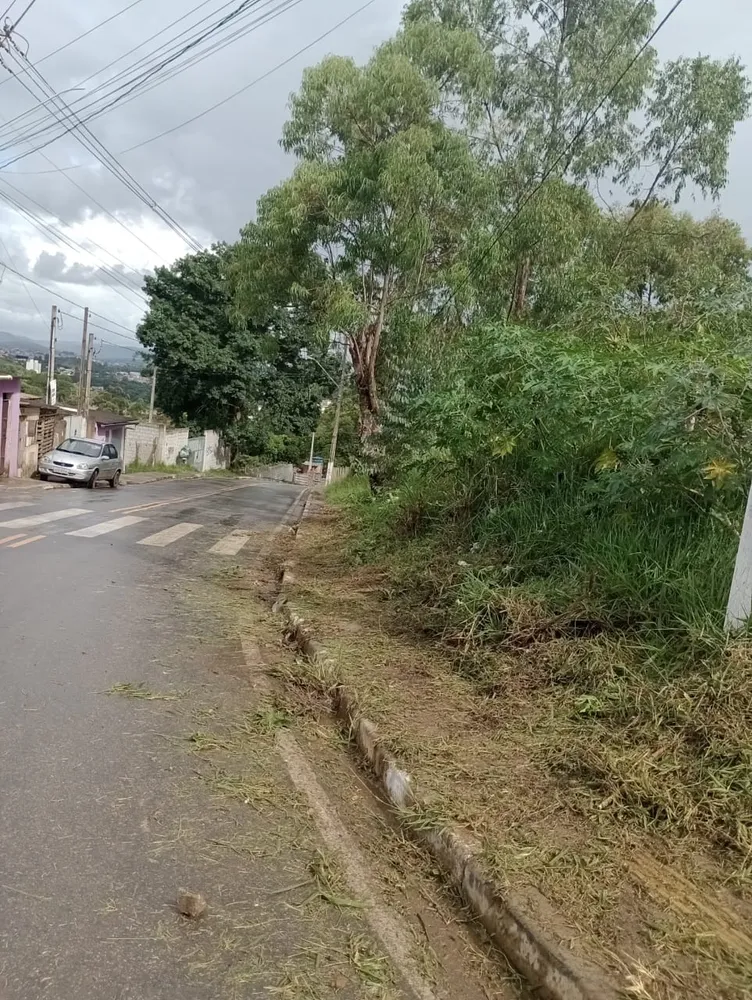 Terreno, 4500 m² - Foto 6