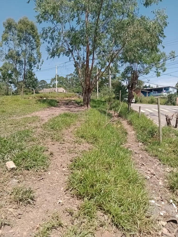 Terreno, 4500 m² - Foto 5