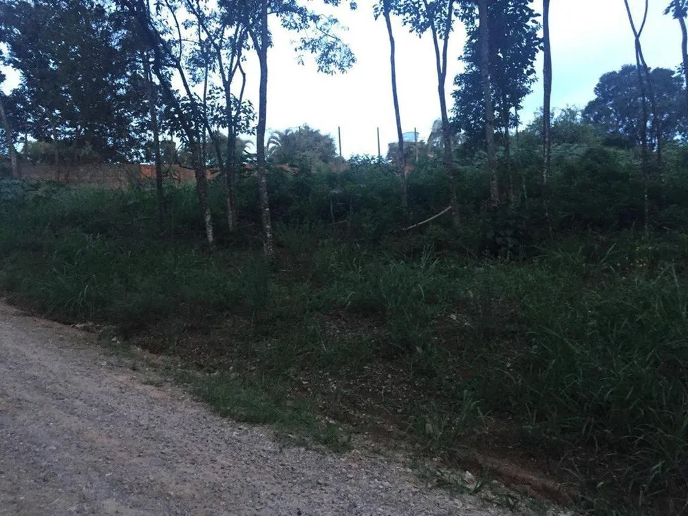 Terreno, 2516 m² - Foto 2