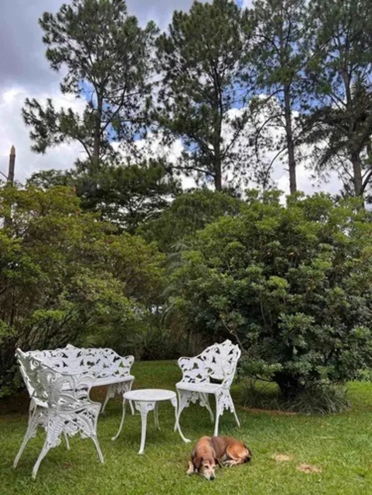 Chácara, 4 quartos - Foto 4