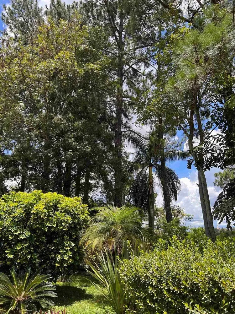 Chácara, 4 quartos - Foto 6