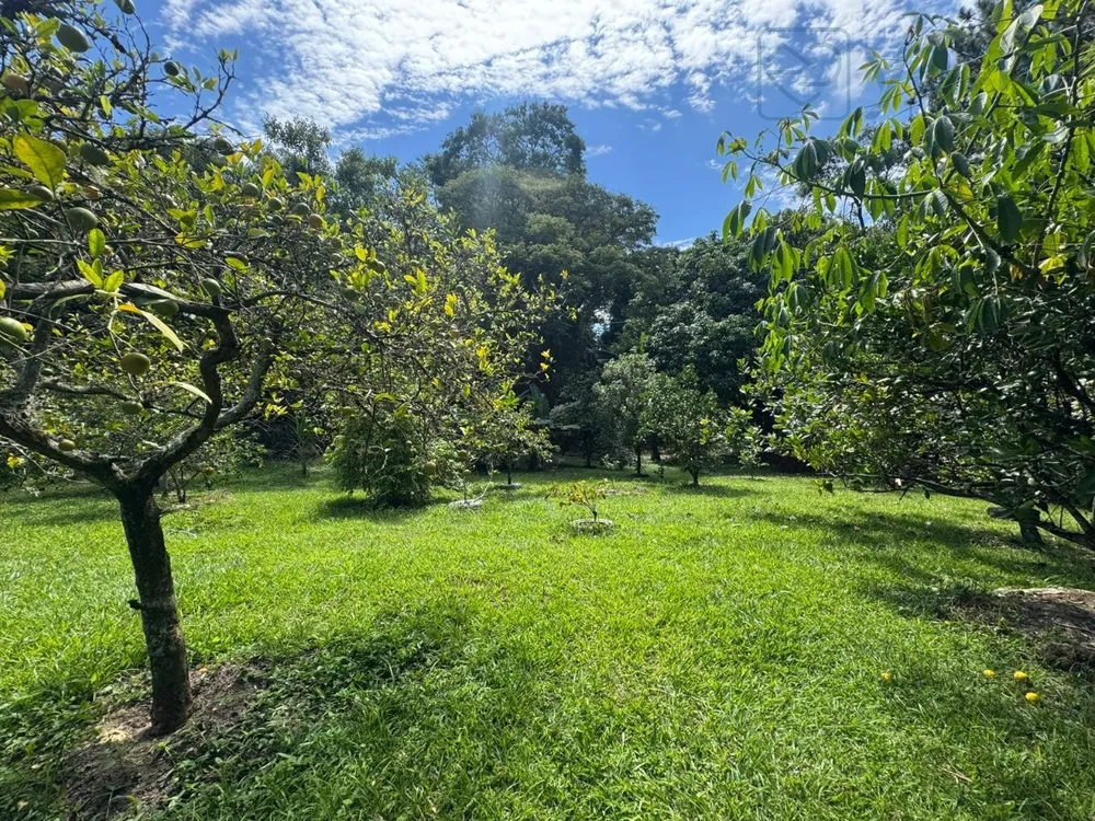 Chácara, 2 quartos, 6240 m² - Foto 1