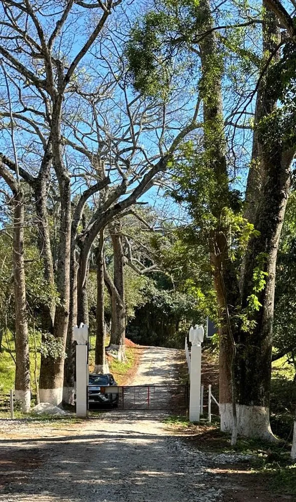 Terreno, 2000 m² - Foto 2
