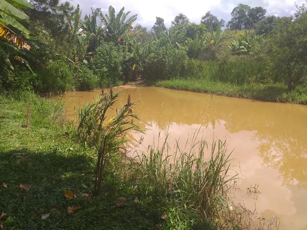 Chácara à venda com 1 quarto, 300m² - Foto 4