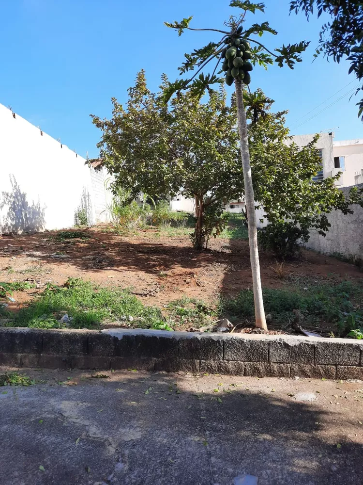 Terreno à venda, 250m² - Foto 4