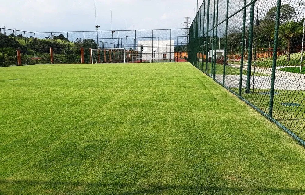Terreno, 505 m² - Foto 8