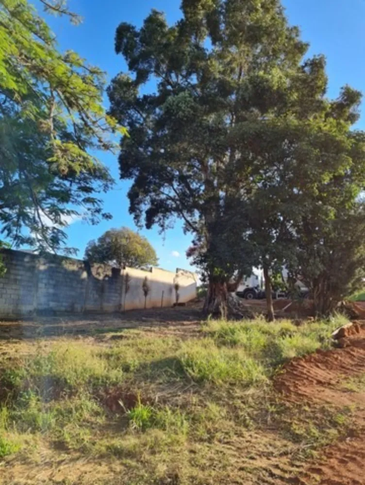 Terreno, 388 m² - Foto 6