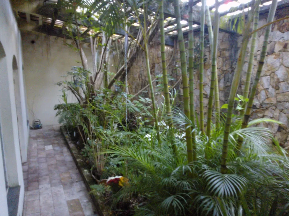 Chácara, 3 quartos, 4770 m² - Foto 7