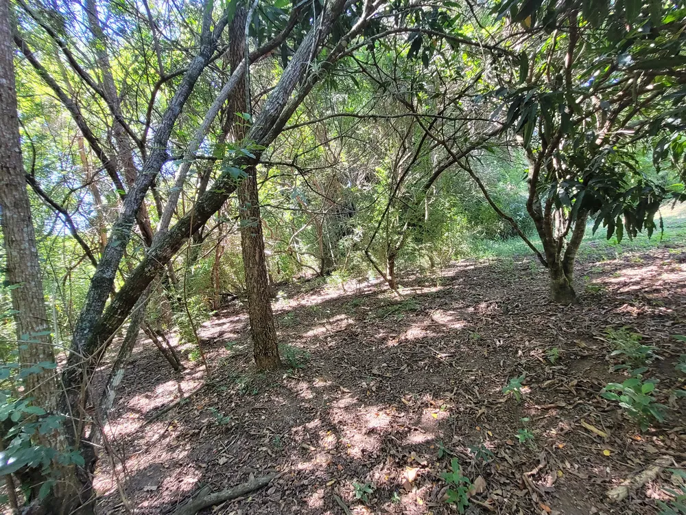 Chácara, 2 quartos - Foto 4