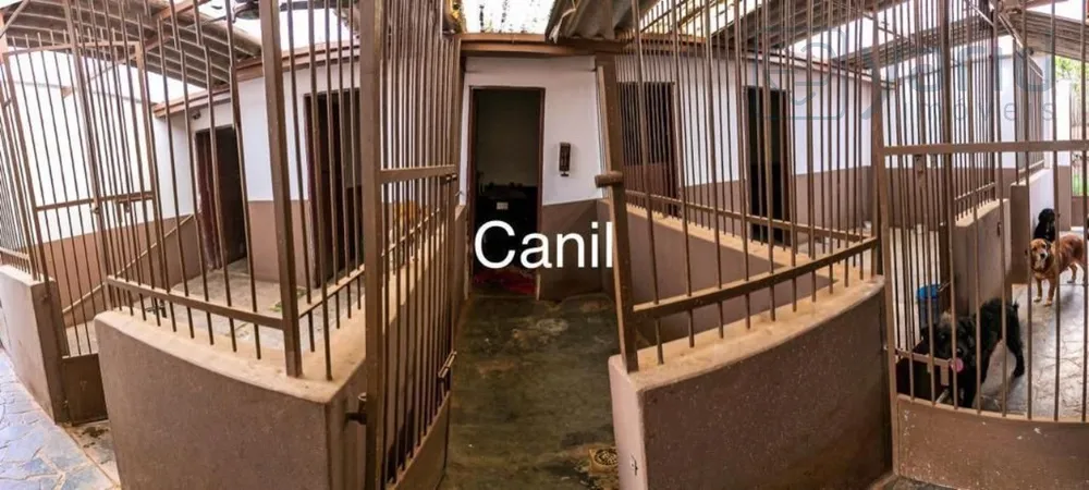 Casa, 7 quartos - Foto 12