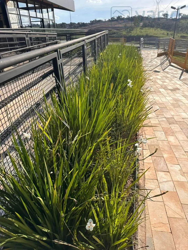 Terreno, 542 m² - Foto 7