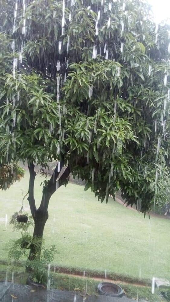 Chácara, 3 quartos - Foto 24