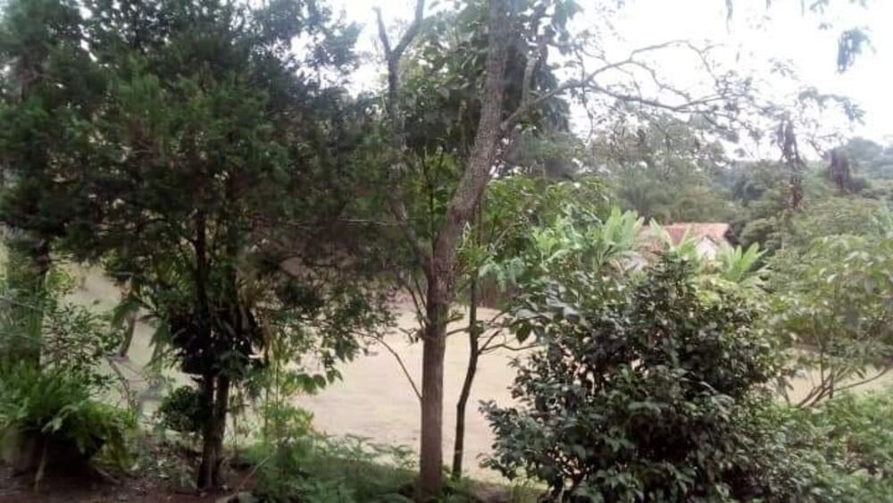 Chácara, 3 quartos - Foto 29