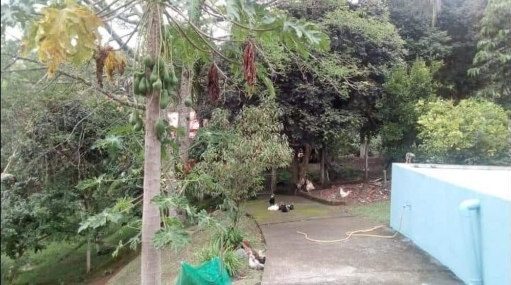 Chácara, 3 quartos - Foto 34