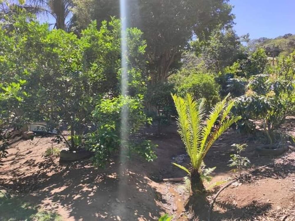 Chácara, 3 quartos - Foto 36