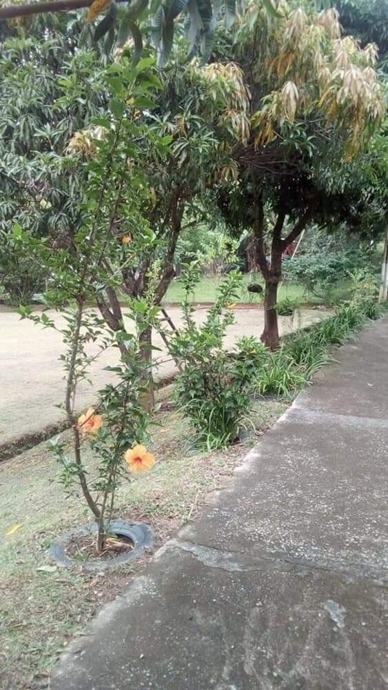 Chácara, 3 quartos - Foto 35