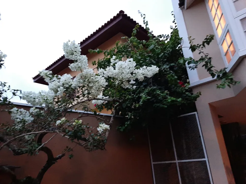 Casa, 3 quartos - Foto 15
