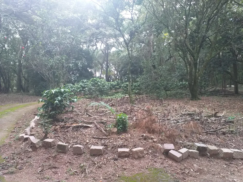 Chácara, 1 quarto - Foto 3