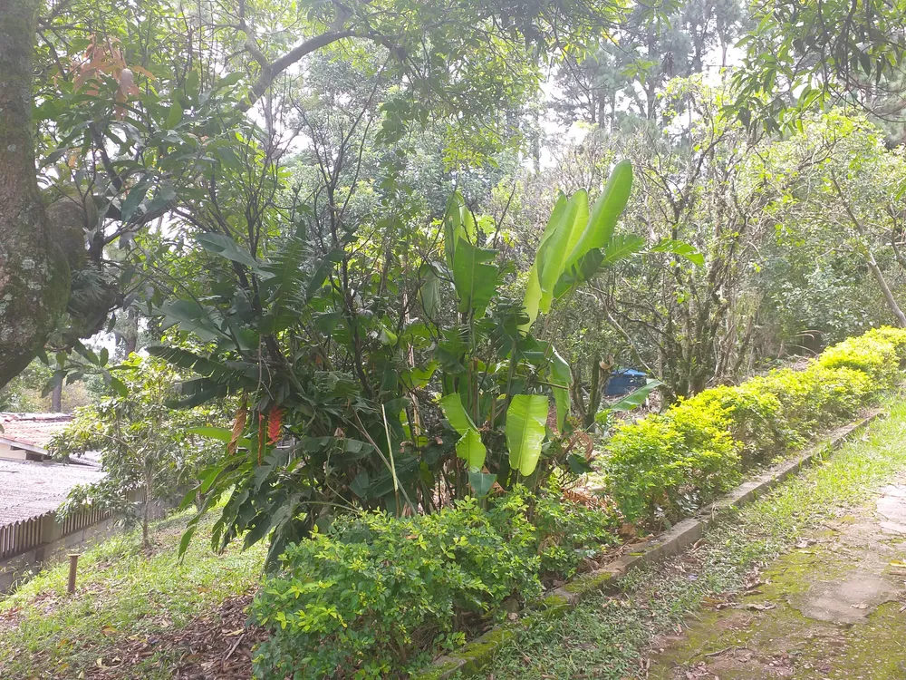 Chácara, 1 quarto - Foto 6