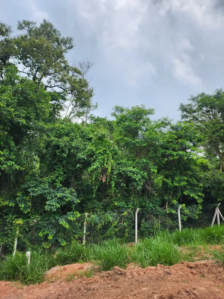 Terreno, 350 m² - Foto 8