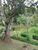 Chácara, 1 quarto - Foto 3