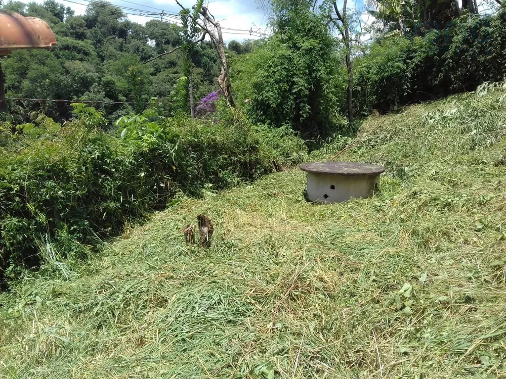 Terreno, 437 m² - Foto 8