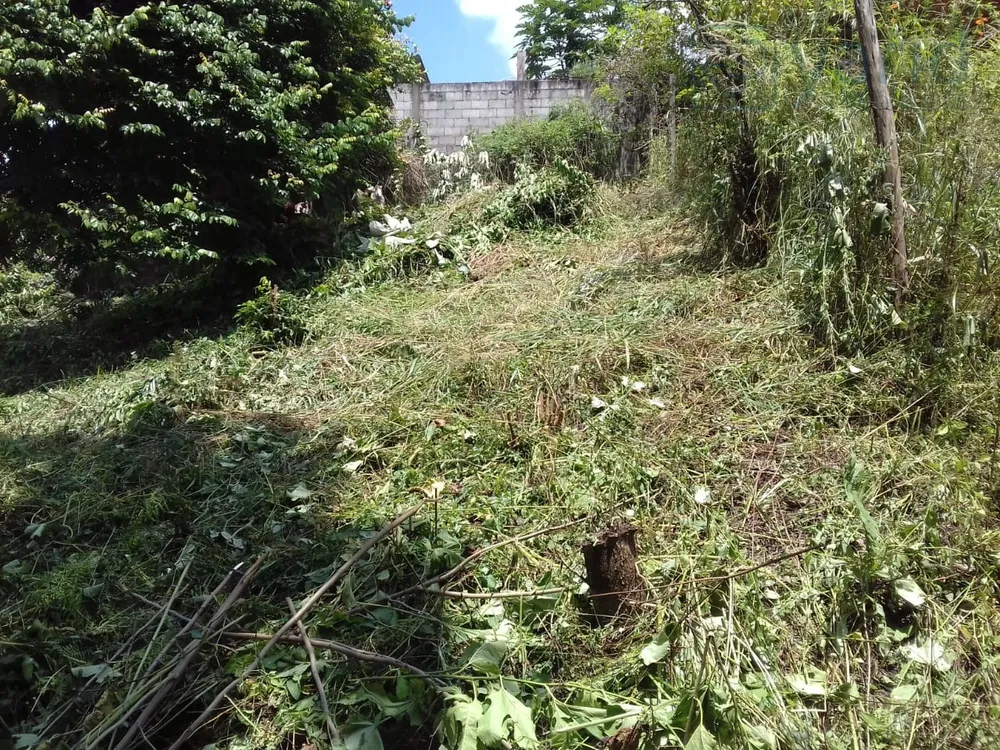 Terreno, 437 m² - Foto 3