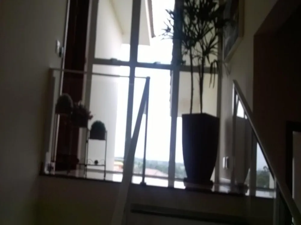 Casa, 4 quartos, 540 m² - Foto 6