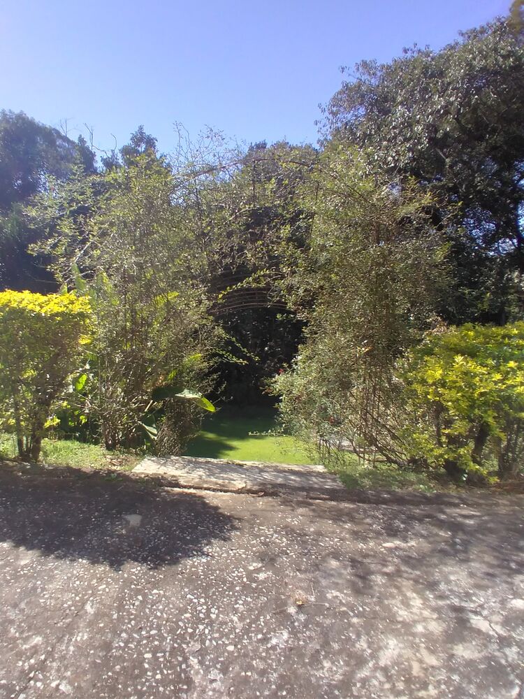 Casa, 4 quartos, 600 m² - Foto 36