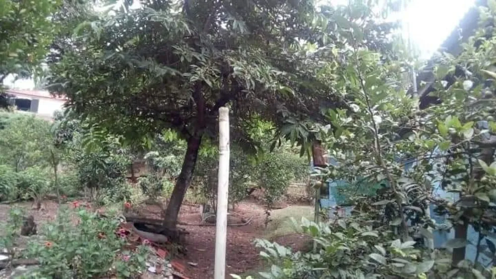 Chácara, 3 quartos - Foto 8