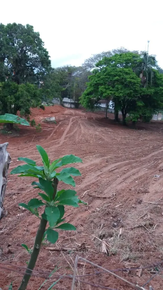 Terreno, 6197 m² - Foto 5