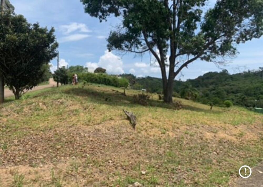 Terreno, 1500 m² - Foto 1