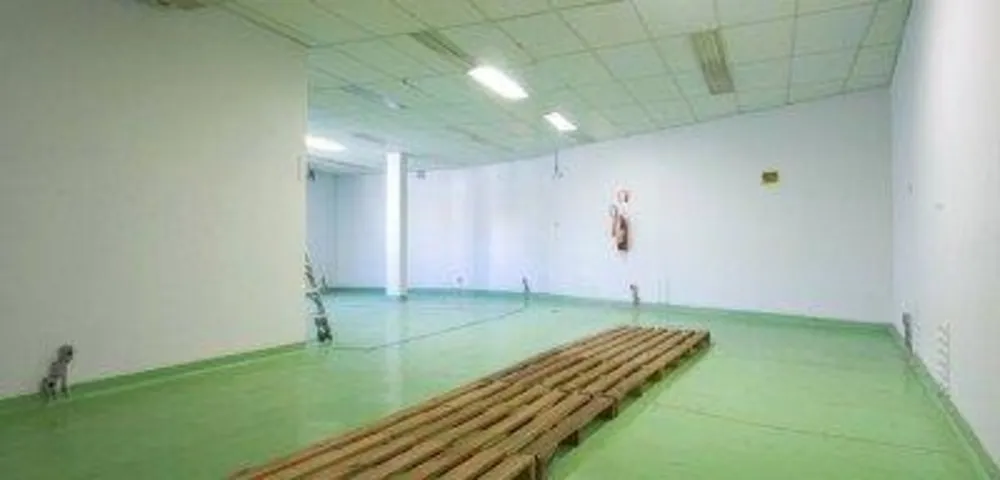 Depósito-Galpão, 1200 m² - Foto 15