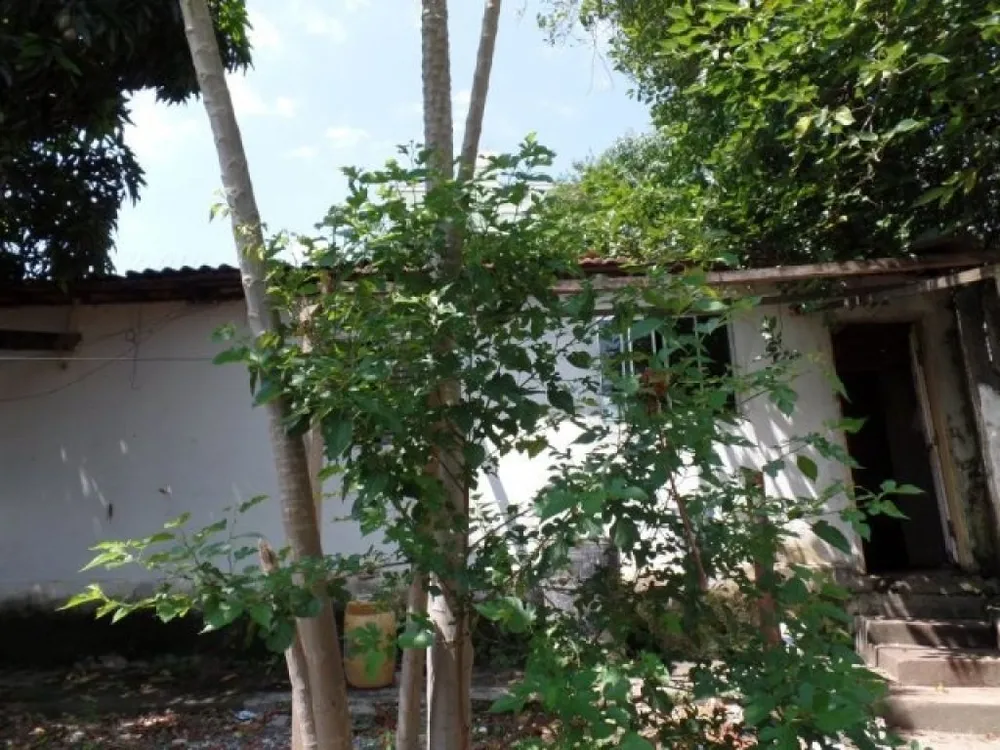 Depósito-Galpão, 500 m² - Foto 7