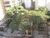 Apartamento, 3 quartos, 135 m² - Foto 1