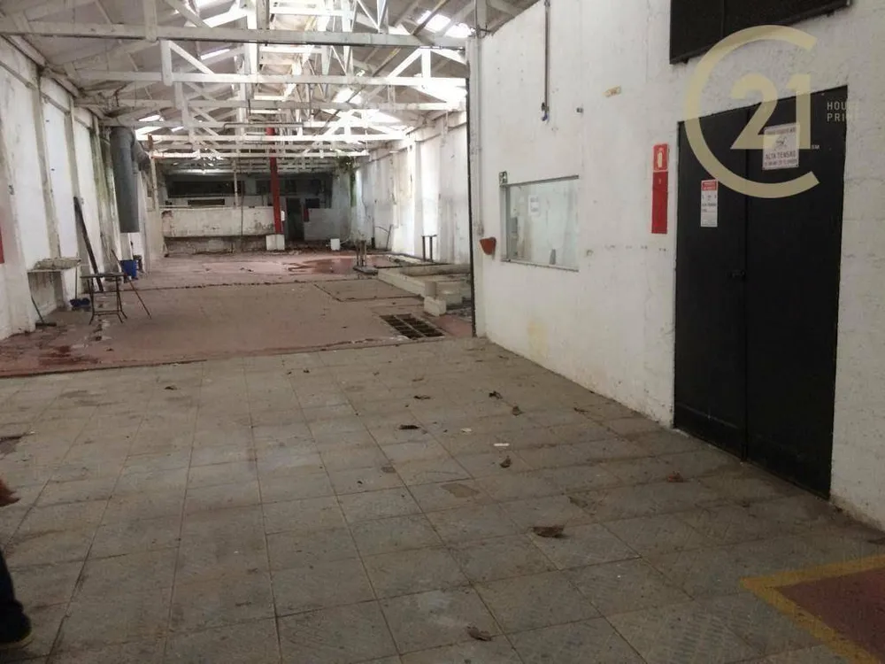 Depósito-Galpão, 600 m² - Foto 3