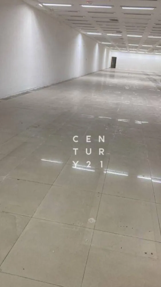 Loja-Salão, 705 m² - Foto 5