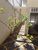 Casa, 6 quartos, 268 m² - Foto 2
