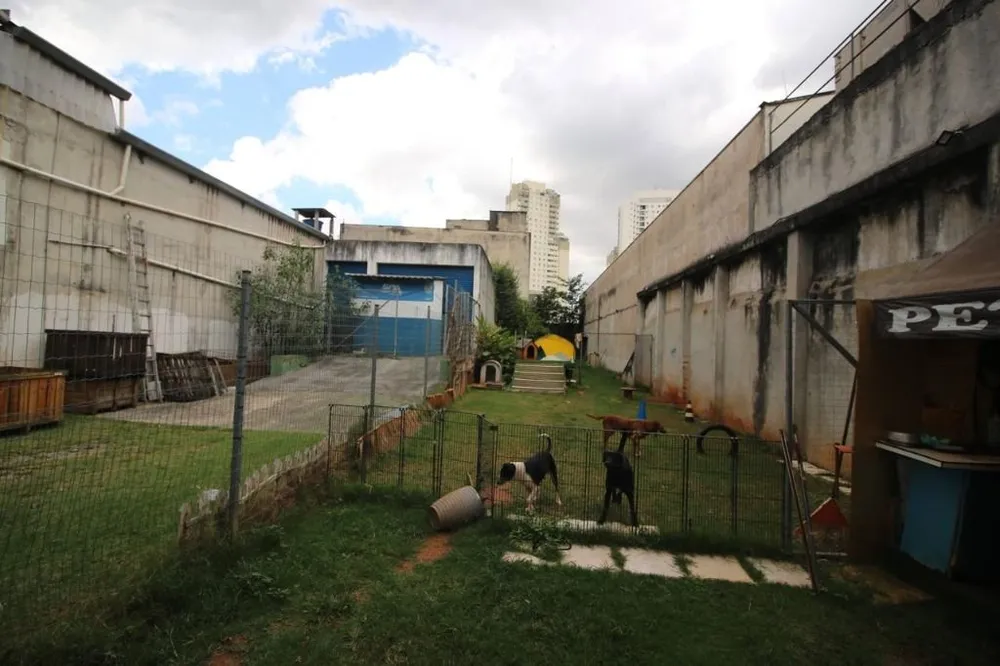 Depósito-Galpão, 1385 m² - Foto 10
