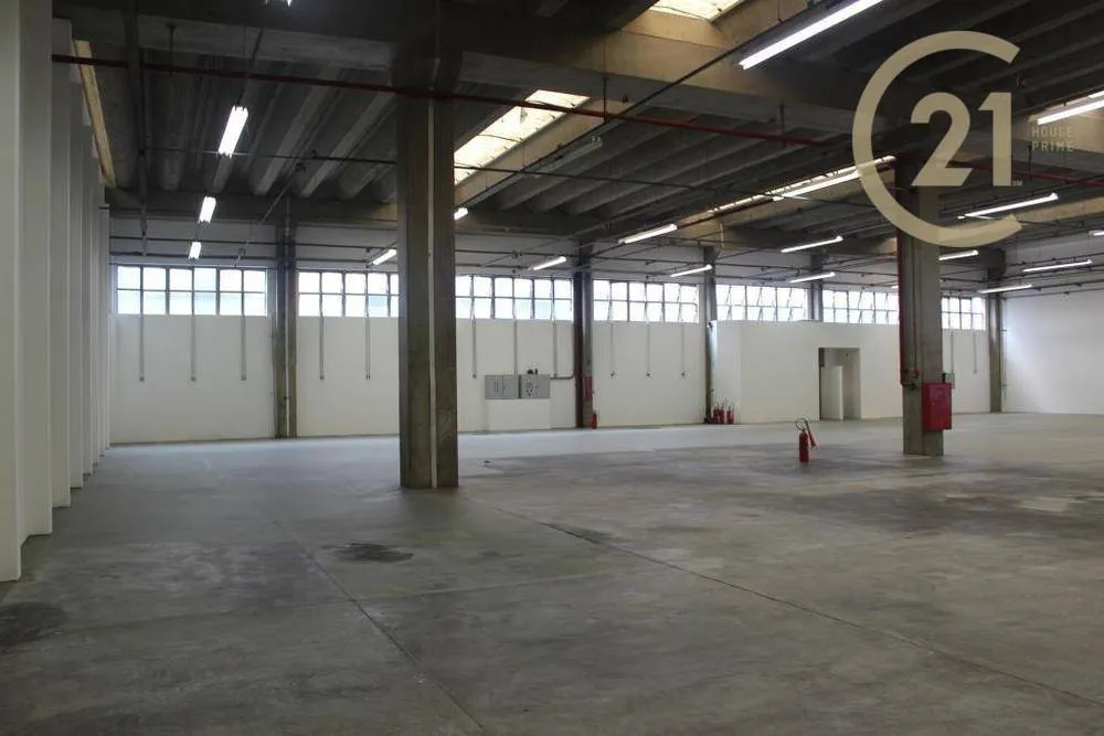 Depósito-Galpão, 6000 m² - Foto 4