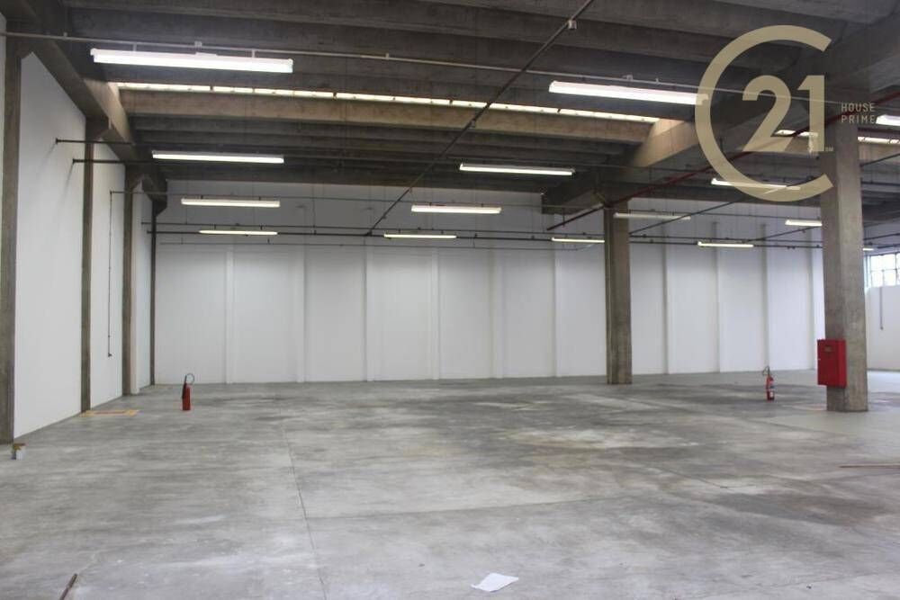 Depósito-Galpão, 6000 m² - Foto 3
