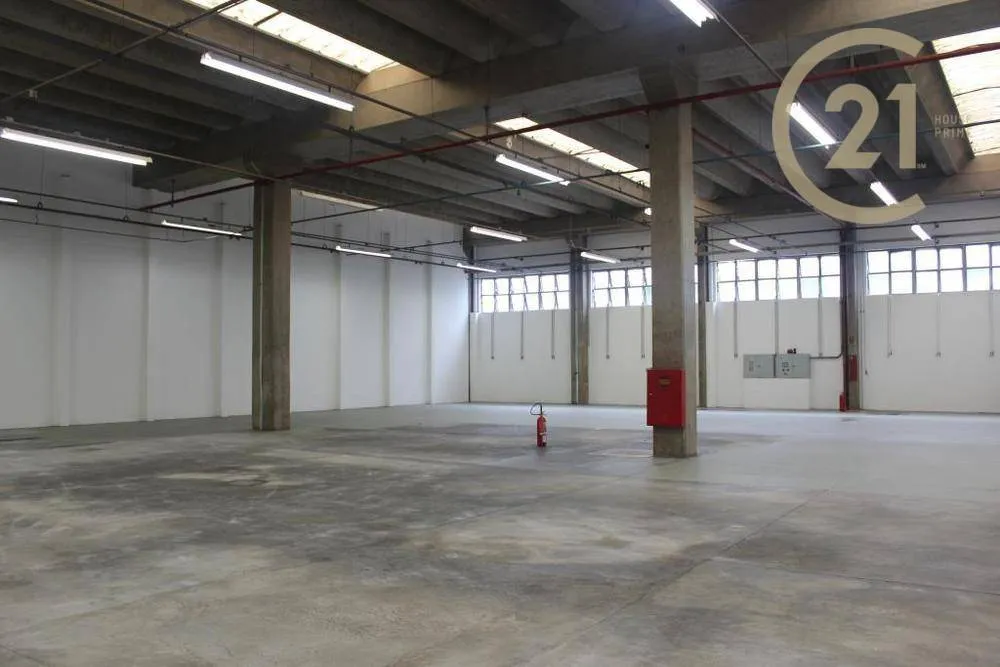 Depósito-Galpão, 6000 m² - Foto 5