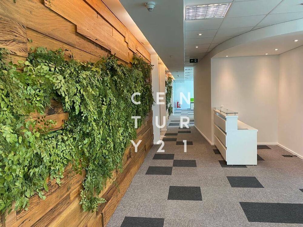 Sala-Conjunto, 492 m² - Foto 5