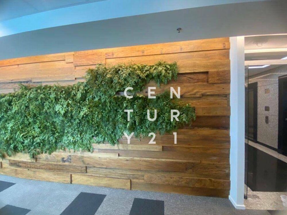 Sala-Conjunto, 492 m² - Foto 4