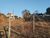 Terreno, 773 m² - Foto 2