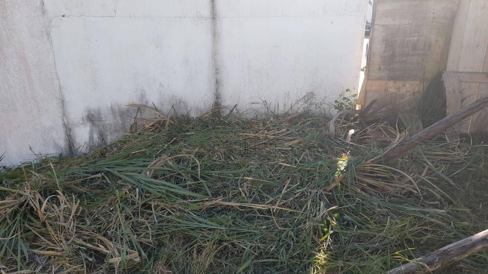 Terreno, 345 m² - Foto 6