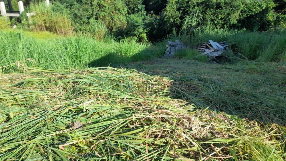 Terreno, 345 m² - Foto 5