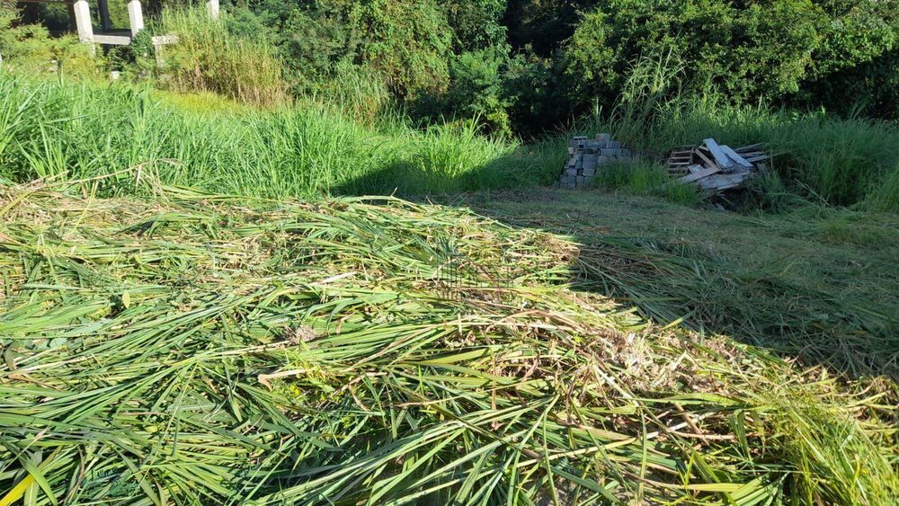 Terreno, 345 m² - Foto 2