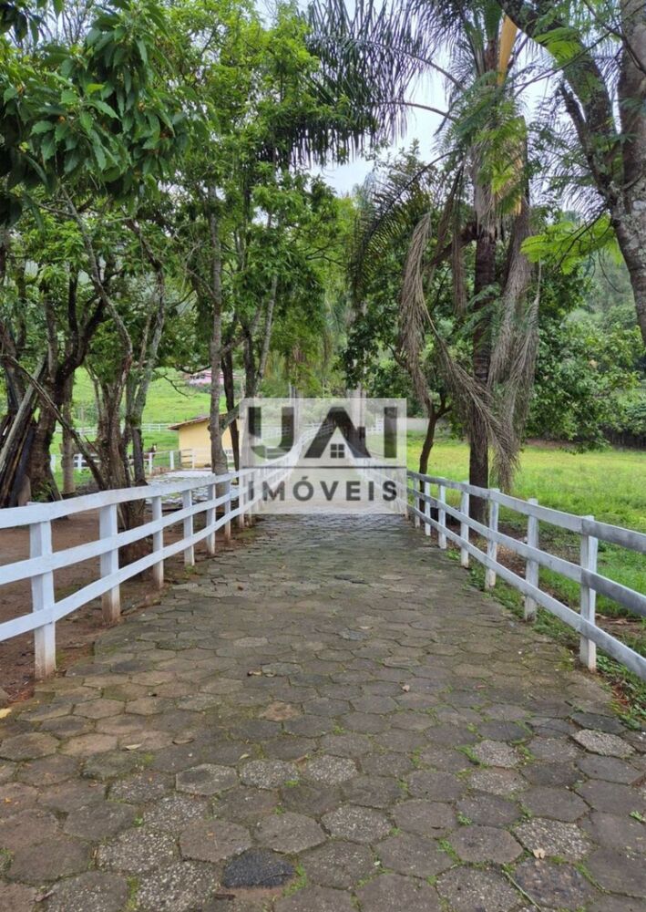 Sítio, 6 quartos, 3 hectares - Foto 19